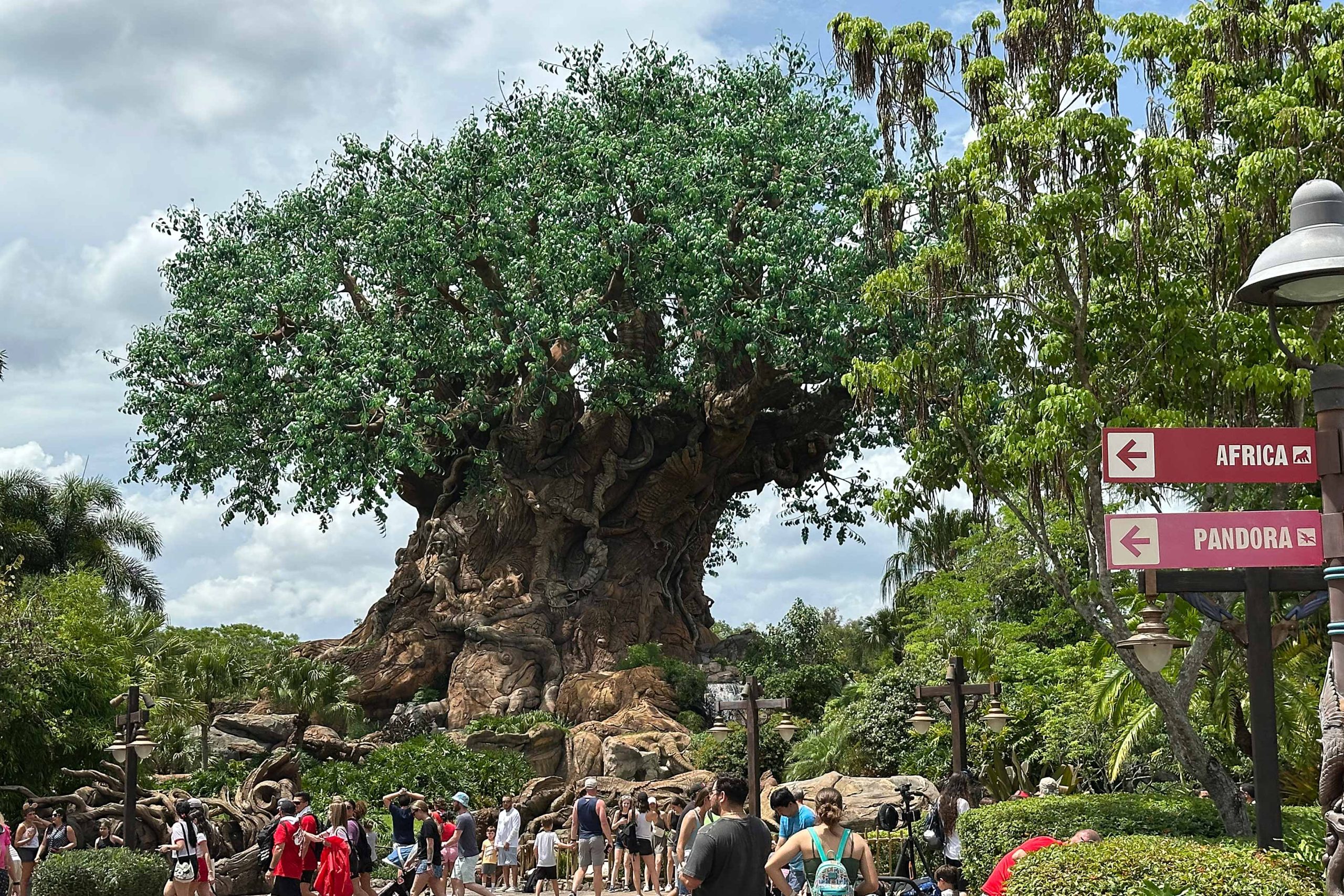 disney the animal kingdom
