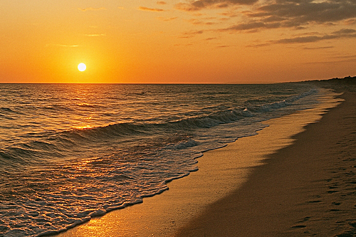 2 Weeks, 10 Florida Beaches, and Just 1 Swimwear Brand