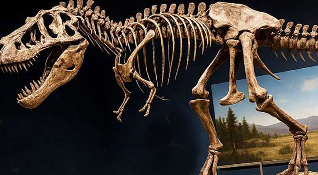 Orlando Science Center: The Ultimate Family Day Out in Central Florida oss